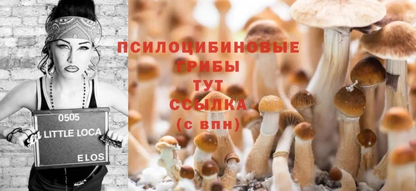 прущий лед Абаза