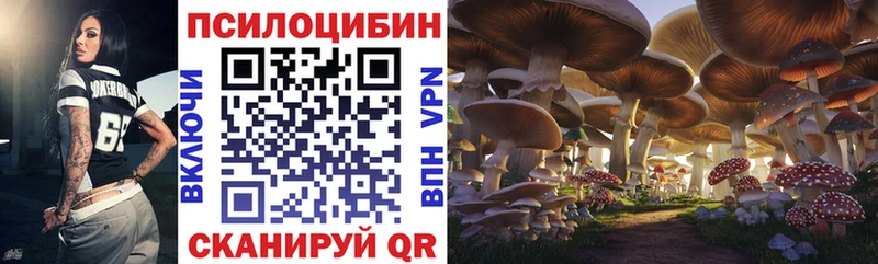 Псилоцибиновые грибы мицелий Вышний Волочёк